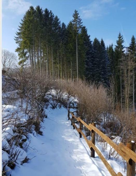 Nationalpark Ferienhaus Sophia-Luisa Borfink Екстер'єр фото